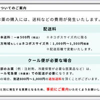 美容に関する最新トレンドなどを発信