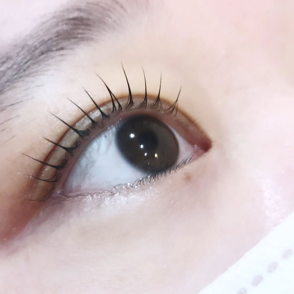 美容に関する最新トレンドなどを発信