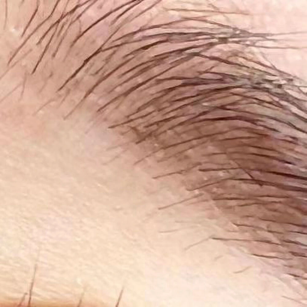 美容に関する最新トレンドなどを発信