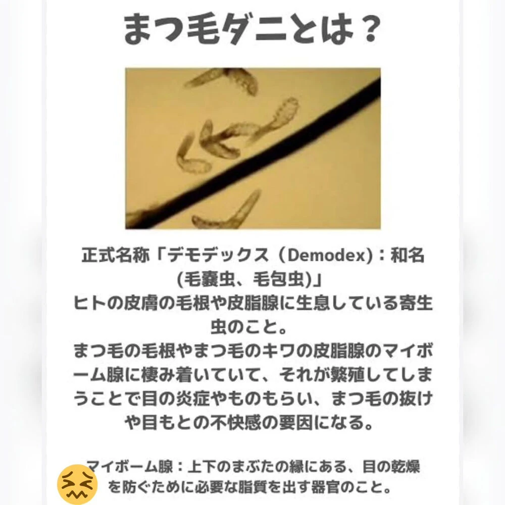 美容に関する最新トレンドなどを発信